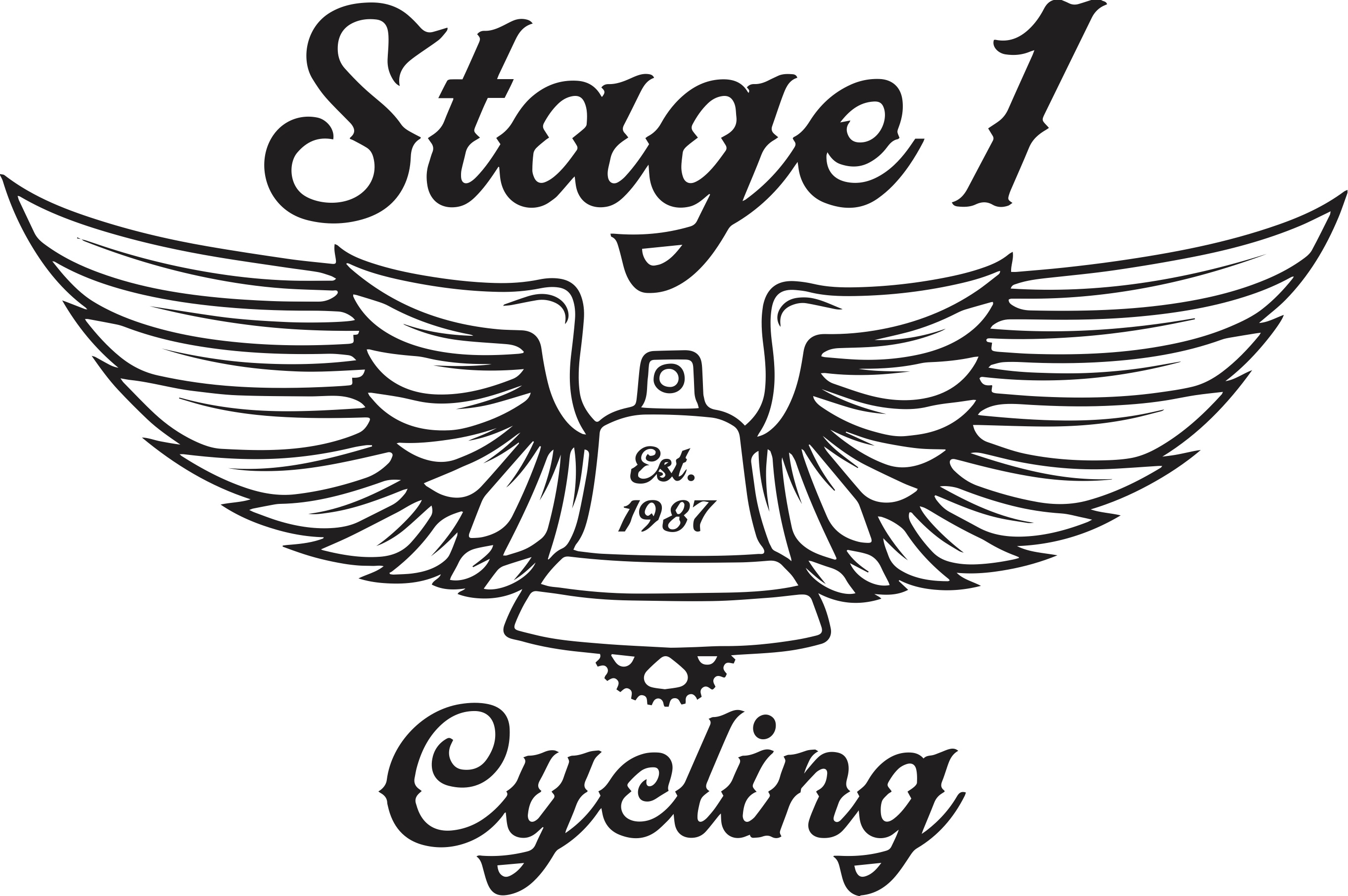 Stage 1 Cycles
